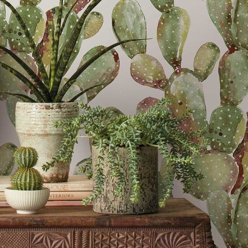 kalotaranis.gr-peel and stick wallpaper,decoration,cactus