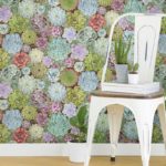 kalotaranis.gr-peel and stick wallpaper,decoration,flowers,succulents